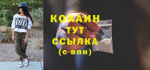 ГАЛЛЮЦИНОГЕННЫЕ ГРИБЫ Гусь-Хрустальный